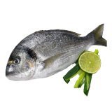 Buy  Fresh Dennis Fish - 500 g in Saudi Arabia