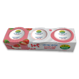 Buy Nada Greek Yoghurt Assorted Pack - 3×160G in Saudi Arabia