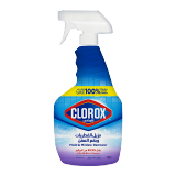 Buy Clorox Clorox Mold & Mildew Remover Spray - 750 Ml in Saudi Arabia