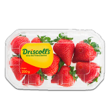 اشتري دريسكولز فراولة مغربي - 250غرام في السعودية