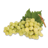 Buy  White Grapes - 2.0 kg in Saudi Arabia