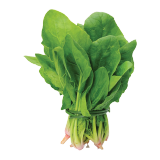 Green Jerjer Leaves-1 bundle Green Jerjer Leaves-1 bundle
