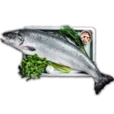 Fish Whole Salmon Medium Size Approximately 3 Kg-2.0 kg Fish Whole Salmon Medium Size Approximately 3 Kg-2.0 kg