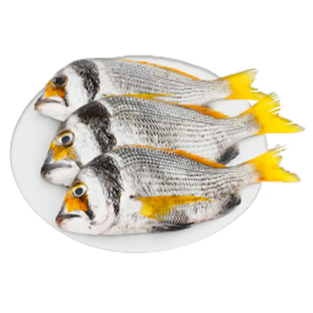 Product-image
