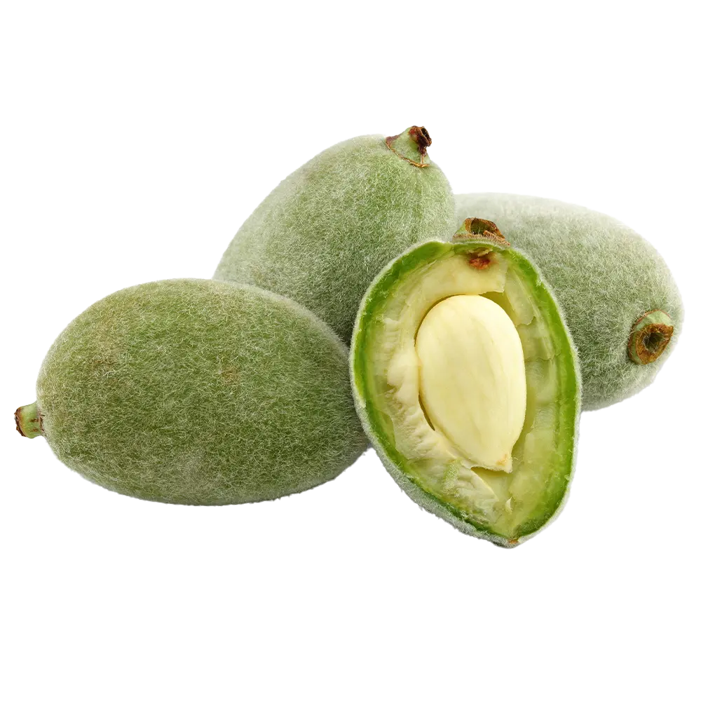 Product-image