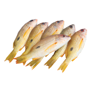 Buy  Naisarah Fish - 500 g in Saudi Arabia