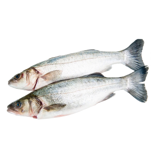 اشتري  سمك قاروص طازج -  غرام 500 في السعودية