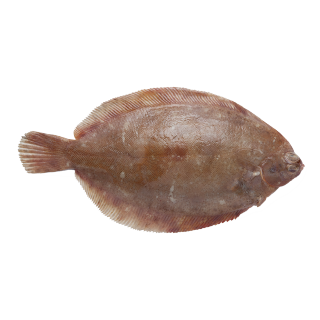 Buy  Sole Fish - 500 g in Saudi Arabia