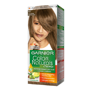 Buy Garnier Color Naturals 6.1 Dark Ash Blonde Hair Color - 1 count in Saudi Arabia