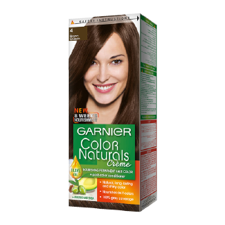 Buy Garnier Color Naturals 4 Brown Hair Color - 1 count in Saudi Arabia