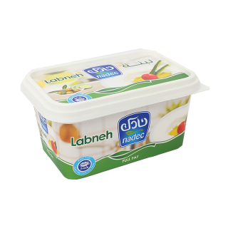 Buy Nadec Fresh Labneh Full Fat - 450G in Saudi Arabia