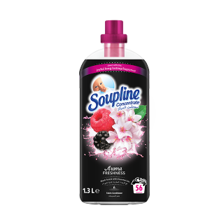 Buy Soupline Concentrate Black Forest - 1.3L in Saudi Arabia