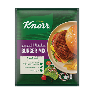 Buy Knorr Burger Mix - 30G in Saudi Arabia