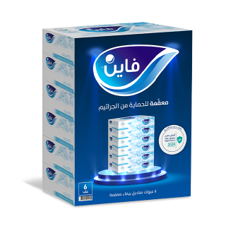 Buy Fine Classic Facial Tissue -  6 Boxes x 100 Sheets 2 play in Saudi Arabia
