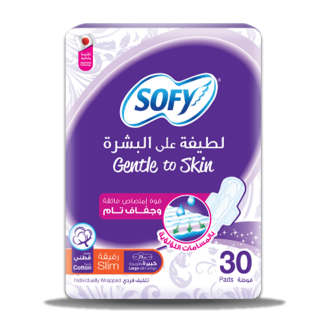 Buy Sofy Slim Large With Wings - 30 count in Saudi Arabia