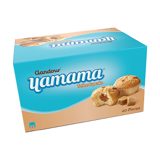 yamama family cake - choco - marble 12x230g : Buy Online at Best Price in  KSA - Souq is now Amazon.sa: Grocery