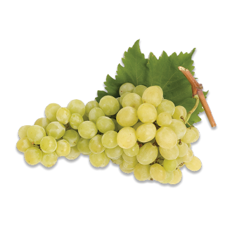 Buy  White Grapes Italy - 500 g in Saudi Arabia
