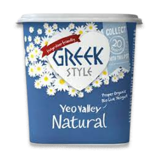 Buy Yeo Valley Organic Greek Style Natural Yogurt - 450G in Saudi Arabia