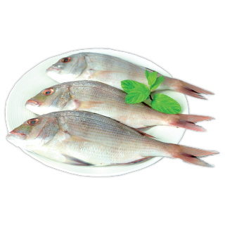 Product-image