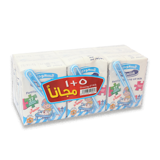 Buy Sadafco Junior Gum Milk - 6x200Ml in Saudi Arabia