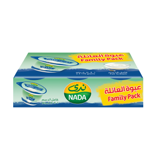 Buy Nada Full Fat Yoghurt Family Pack - 6x170G in Saudi Arabia