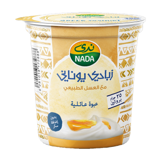 Buy Nada Honey Greek Yoghurt - 360Ml in Saudi Arabia