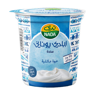 Buy Nada Plain Greek Yoghurt High In Protein - 360G in Saudi Arabia