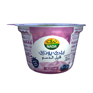 Buy Nada Blueberry Greek Yoghurt High In Protein & Low Fat - 160G in Saudi Arabia