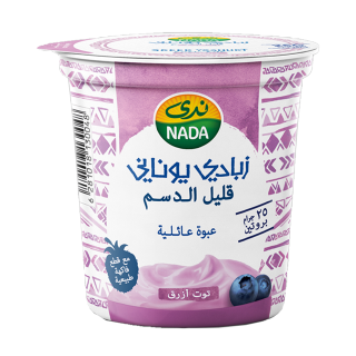 Buy Nada Blueberry Greek Yoghurt High In Protein & Low Fat - 360G in Saudi Arabia