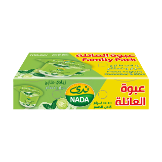 Buy Nada Yoghurt Cucumber & Mint Family Pack - 6×150G in Saudi Arabia