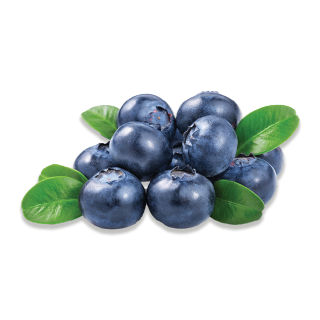 Buy  Blueberries Peru - 125G in Saudi Arabia