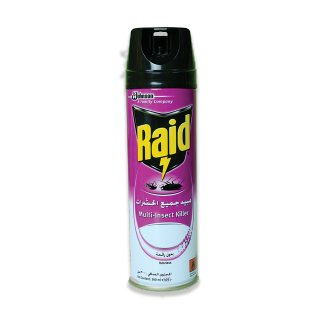Buy Raid All Purpose Insect Killer Odorless - 300Ml in Saudi Arabia