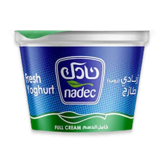 Buy Nadec Full Fat Yoghurt - 170G in Saudi Arabia