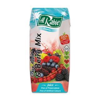 Buy Al Rabie Grape Apple & Berry No Added Sugar - 18×200Ml in Saudi Arabia