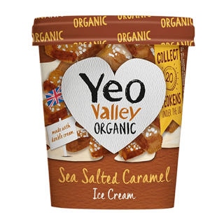 Buy Yeo Valley Icecream Salted Caramel - 500Ml in Saudi Arabia