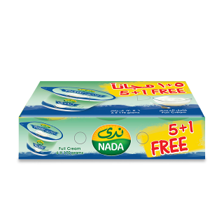 Buy Nada Fresh Yoghurt - 170G in Saudi Arabia