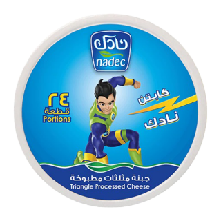 Buy Nadec Triangle Cheese - 5×120G in Saudi Arabia