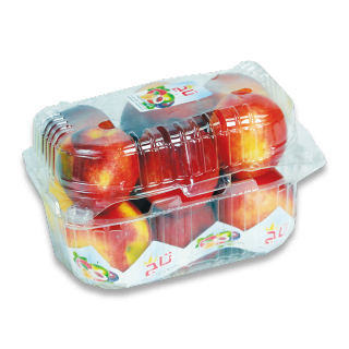 Buy  Nectarine - 1 PCS in Saudi Arabia