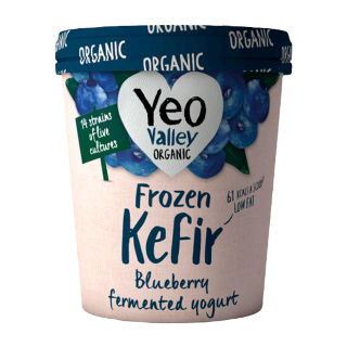 Buy Yeo Valley Blueberry Frozen Kefir - 480Ml in Saudi Arabia