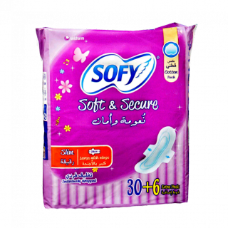 Buy Sofy Pads With Wings - 30 count in Saudi Arabia