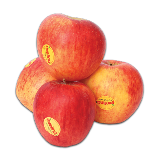 Apple Evelina From Chile - 500 g price in Saudi Arabia | Tamimi Saudi ...