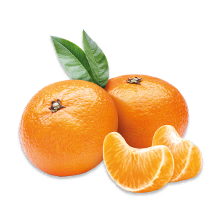 Buy  Mandarine Egypt - 1.5 kg in Saudi Arabia