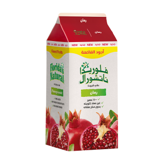 Buy Florida's Natural Pomegranate Juice - 1.6L in Saudi Arabia