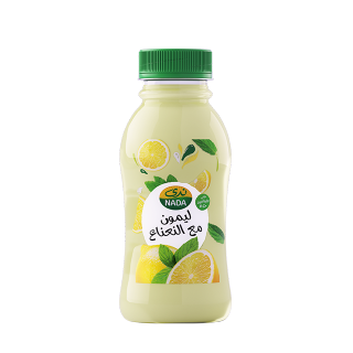 Buy Nada Lemon Juice With Mint - 200Ml in Saudi Arabia