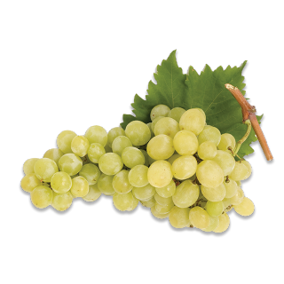 Buy  White Grapes - 2.0 kg in Saudi Arabia