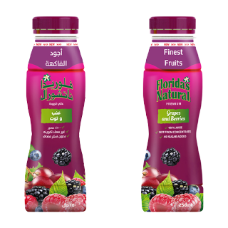 Buy Florida Grapes & Berries Juice - 250Ml in Saudi Arabia