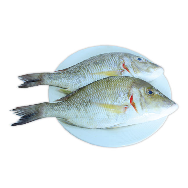 Product-image