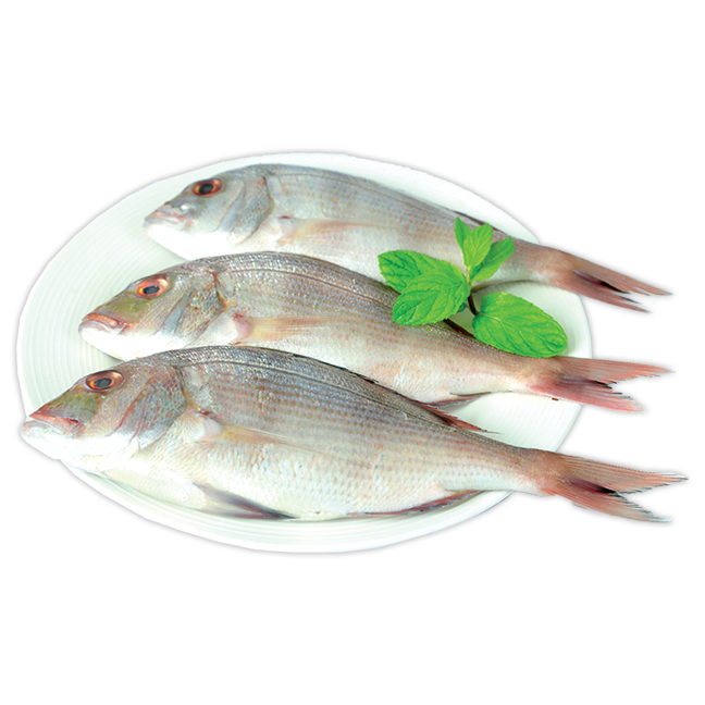 Product-image