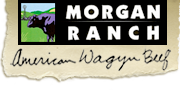 Morgan Ranch Beef