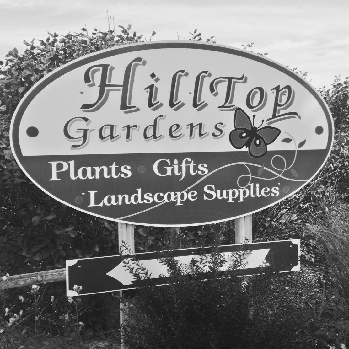 Hilltop Gardens